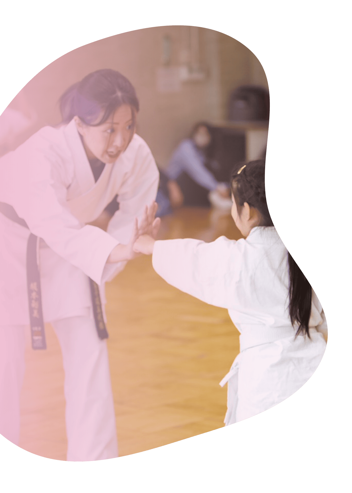 体験・見学で確認できること